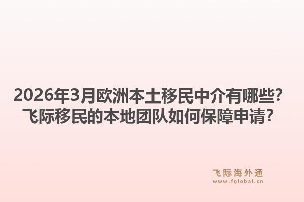 2026年3月欧洲本土移民中介有哪些？飞际移民的本地团队如何保障申请？1.jpg
