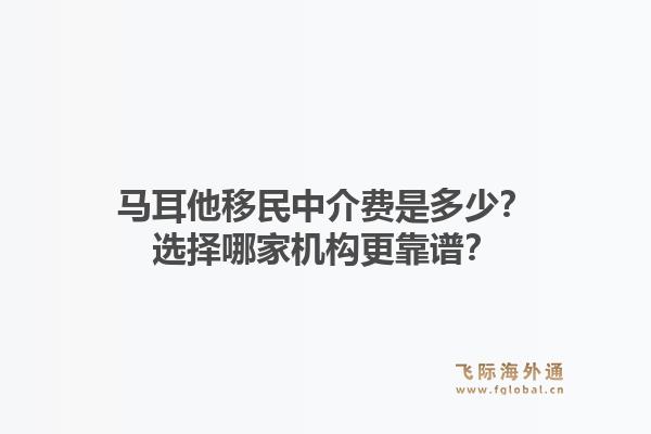 马耳他移民中介费是多少?选择哪家机构更靠谱?1.jpg