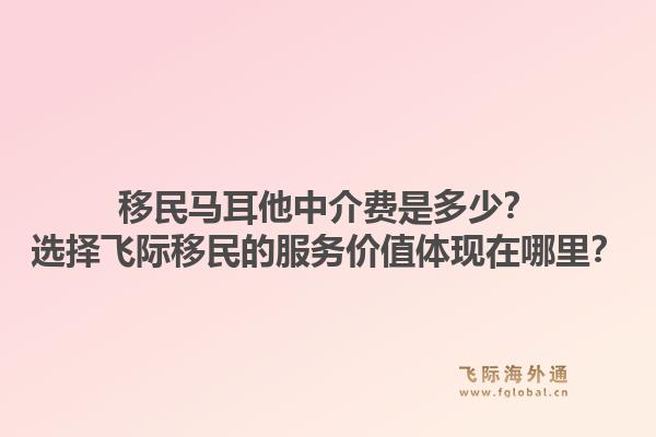 移民马耳他中介费是多少？选择飞际移民的服务价值体现在哪里？1.jpg