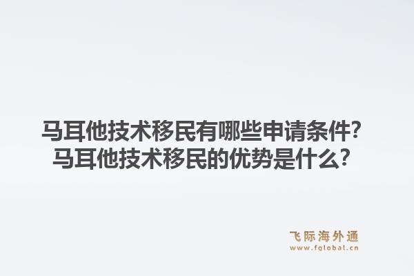 马耳他技术移民有哪些申请条件?马耳他技术移民的优势是什么?1.jpg