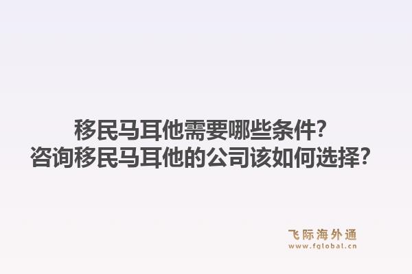 移民马耳他需要哪些条件？咨询移民马耳他的公司该如何选择？