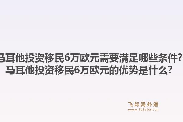 马耳他投资移民6万欧元需要满足哪些条件?马耳他投资移民6万欧元的优势是什么?1.jpg