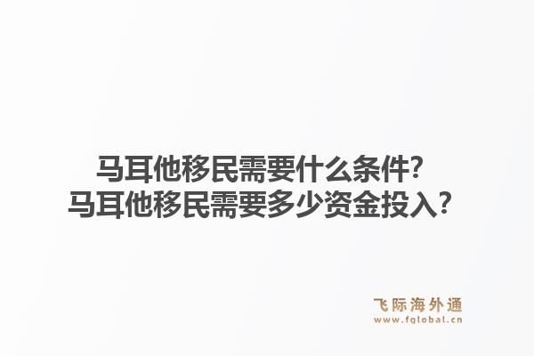 马耳他移民需要什么条件？马耳他移民需要多少资金投入？1.jpg