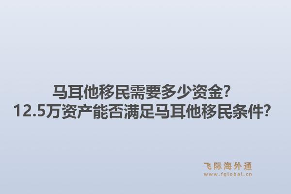 马耳他移民需要多少资金？12.5万资产能否满足马耳他移民条件？1.jpg
