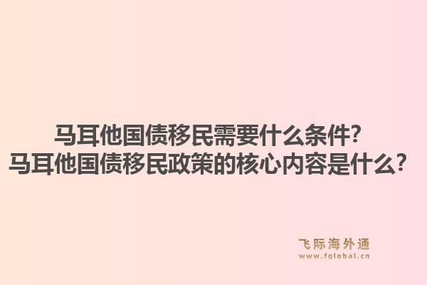 马耳他国债移民需要什么条件？马耳他国债移民政策的核心内容是什么？1.jpg