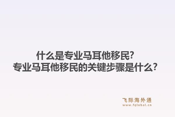 什么是专业马耳他移民？专业马耳他移民的关键步骤是什么？1.jpg