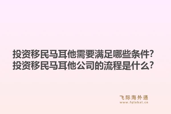 投资移民马耳他需要满足哪些条件？投资移民马耳他公司的流程是什么？1.jpg