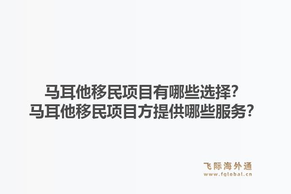马耳他移民项目有哪些选择？马耳他移民项目方提供哪些服务？1.jpg